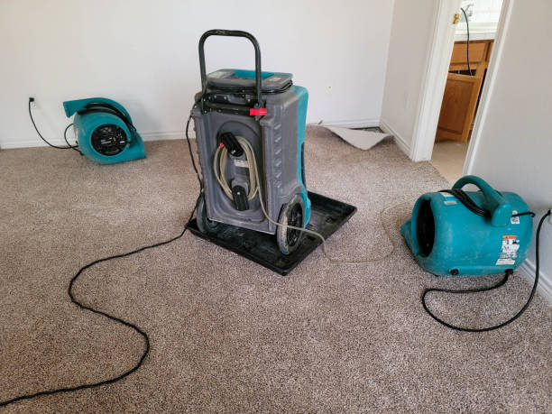 Best Emergency water damage restoration  in Cedar City, UT