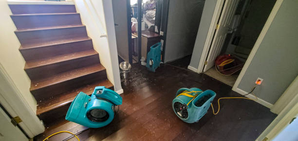 Best Sewage cleanup and water damage restoration  in Cedar City, UT