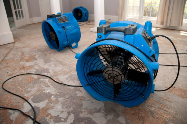 Best Water damage restoration near me  in Cedar City, UT