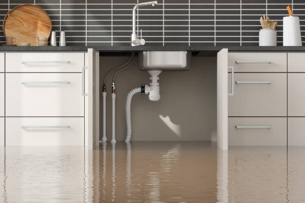 Trusted Cedar City, UT Water damage restoration Experts