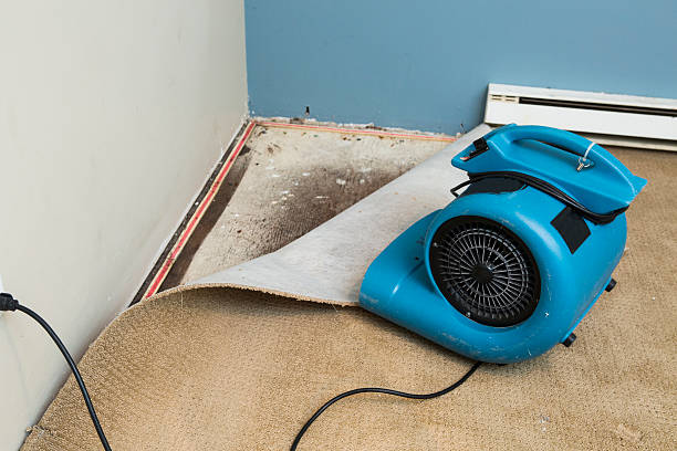 Best Flood restoration services  in Cedar City, UT